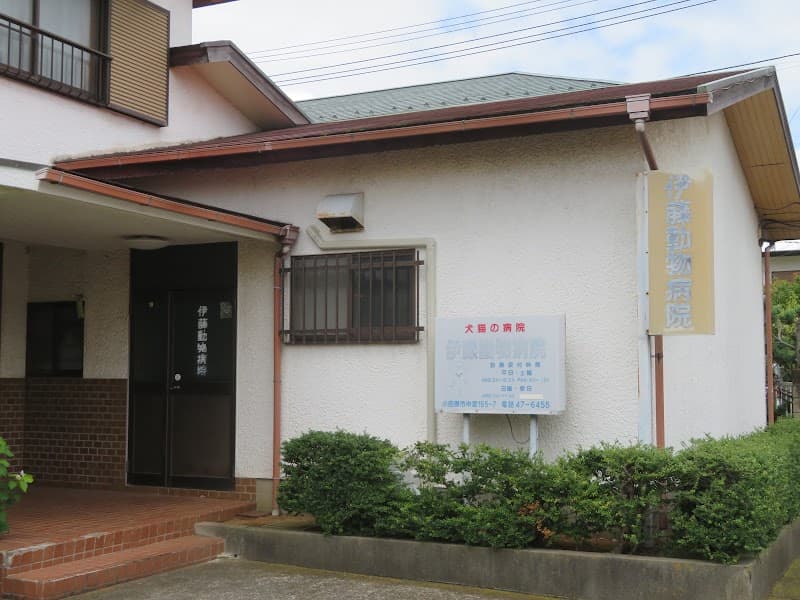 伊藤動物病院
