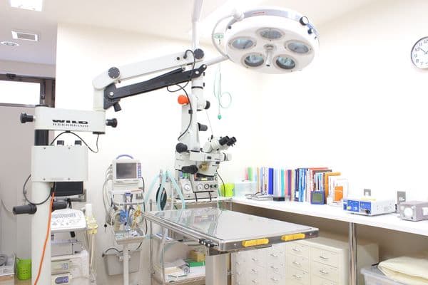 みうら動物病院