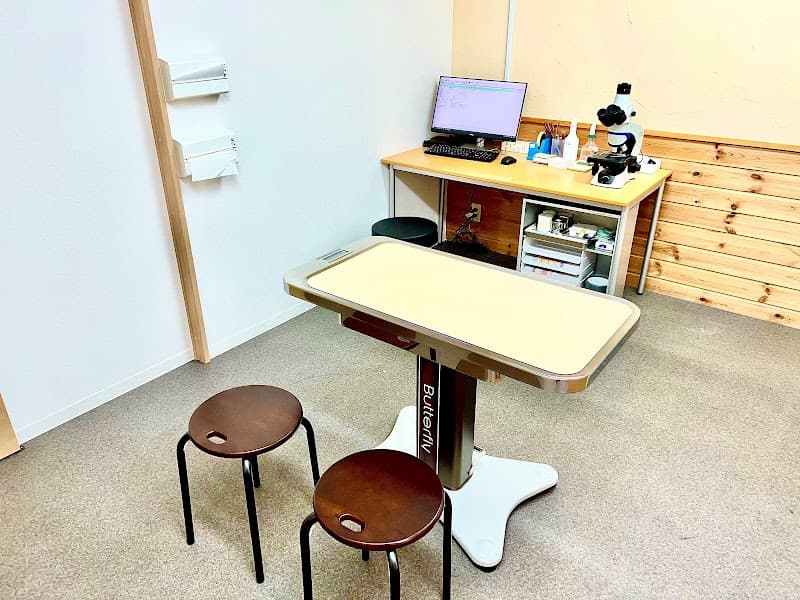 ペッツファースト動物病院 横浜元町医院