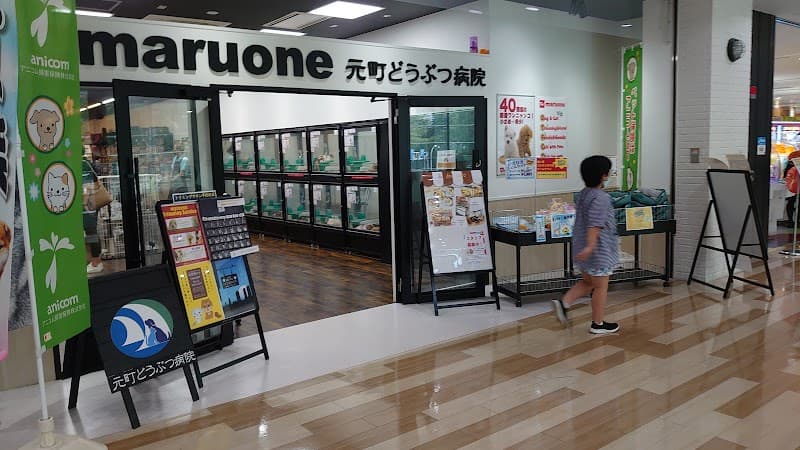 元町どうぶつ病院