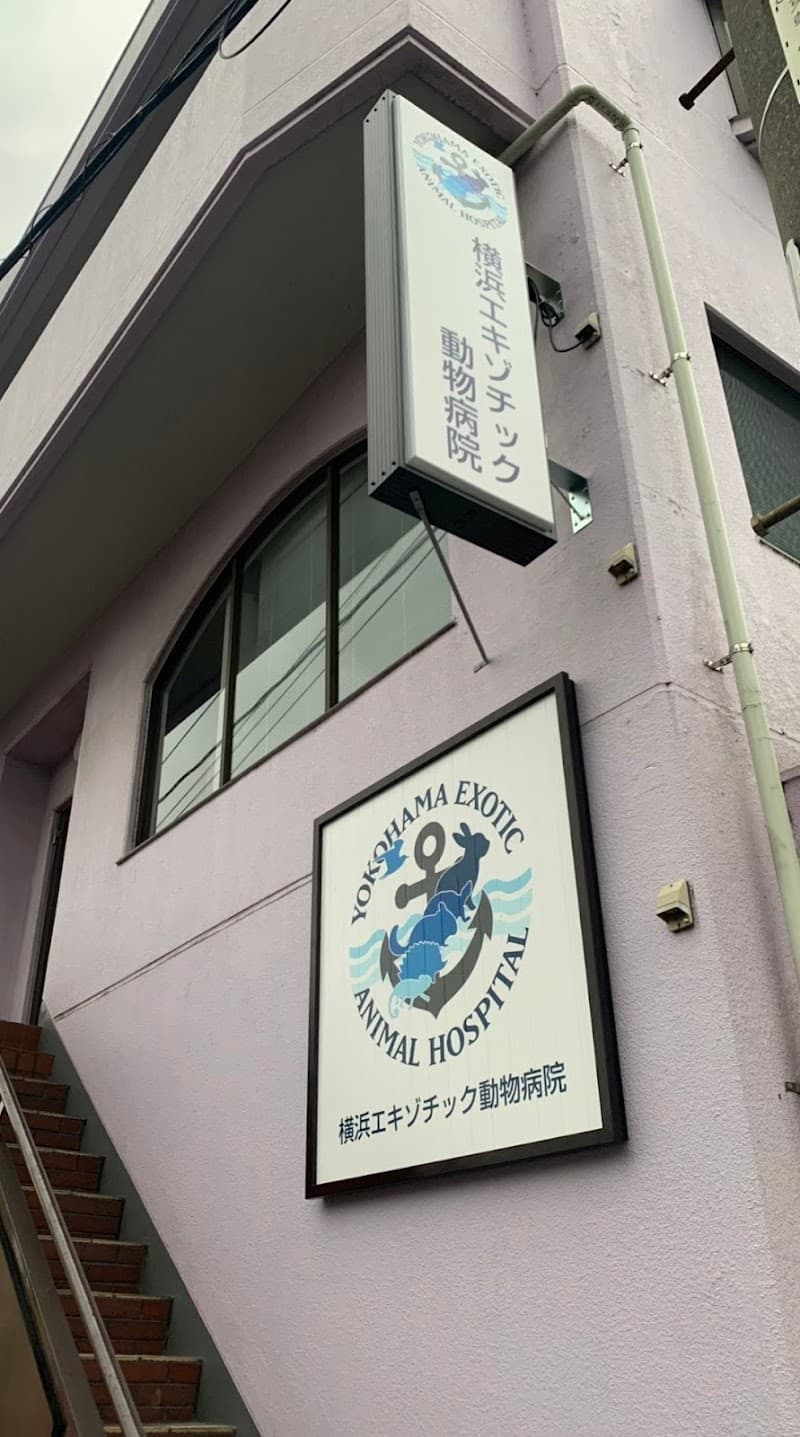 横浜エキゾチック動物病院