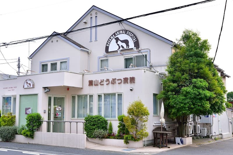 葉山どうぶつ病院