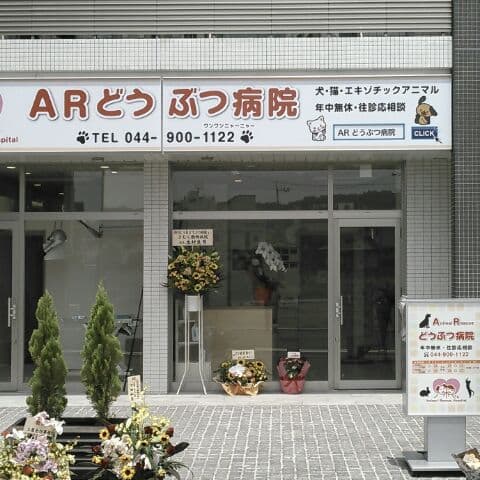 ARどうぶつ病院
