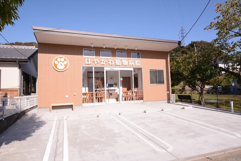 はやかわ動物病院