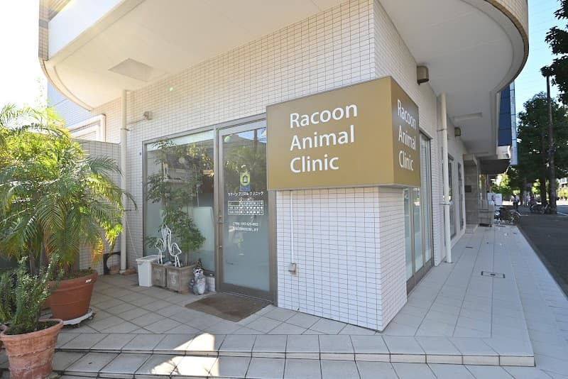 Racoon Animal Clinic(ラクーンアニマルクリニック)
