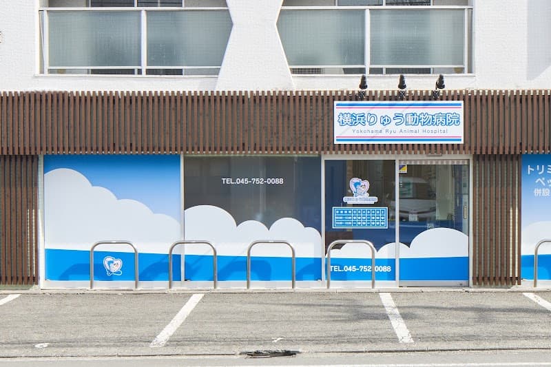 横浜りゅう動物病院
