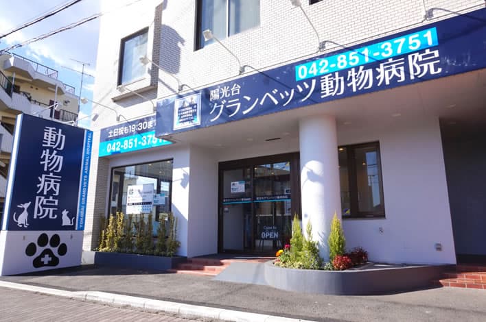 陽光台グランベッツ動物病院