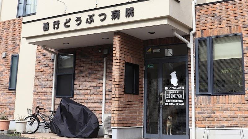 善行どうぶつ病院
