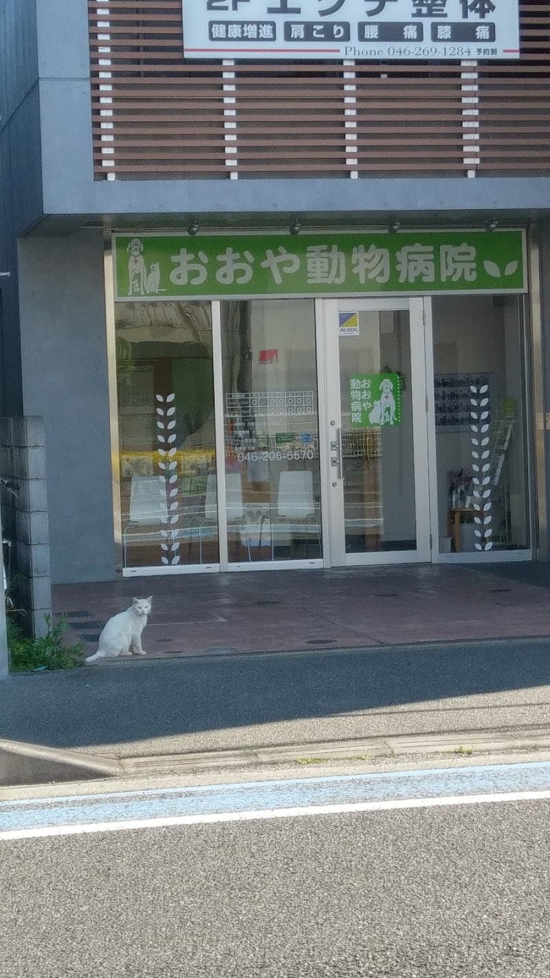 おおや動物病院