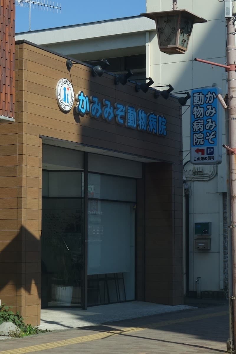 かみみぞ動物病院