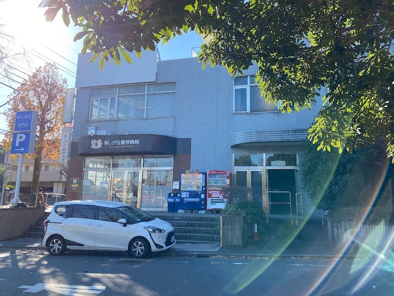 美しが丘動物病院
