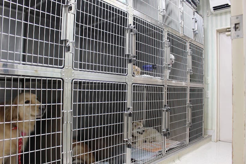 加藤どうぶつ病院コンパニオンアニマルケアセンター