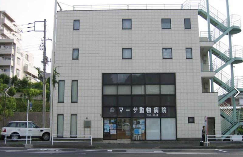 マーサ動物病院 本院