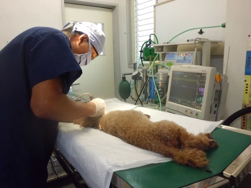 ささき動物病院