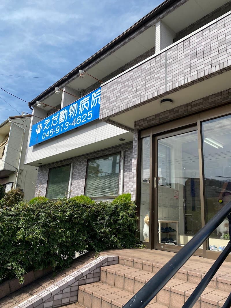 えだ動物病院