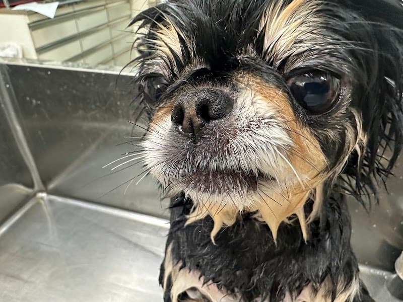 エルムペットクリニック