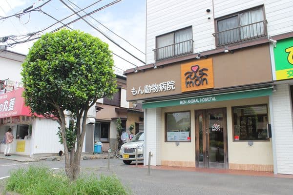 もん動物病院