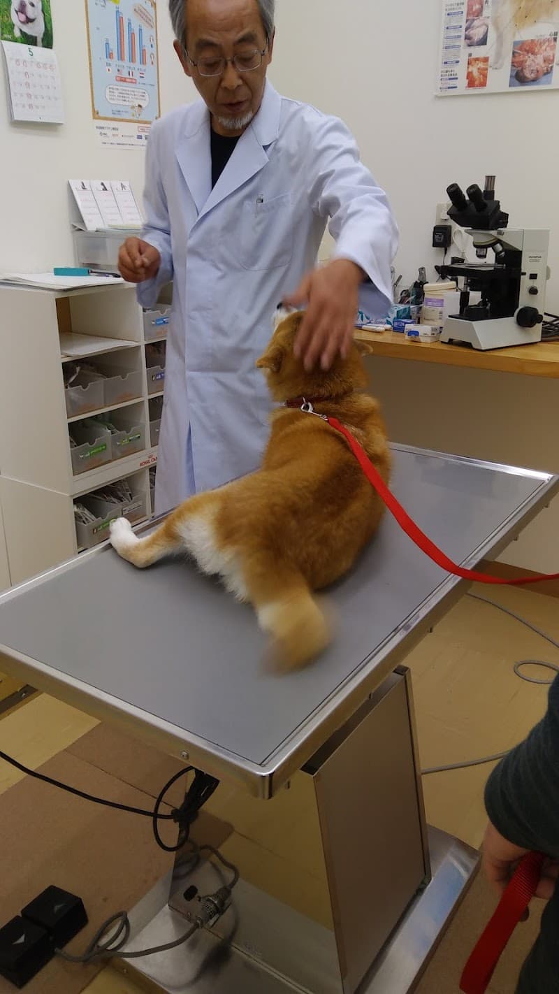 かねうち犬猫病院