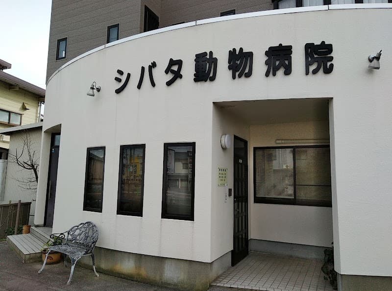 シバタ動物病院