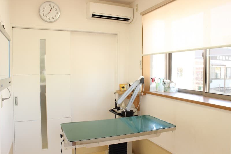 コーラル動物病院