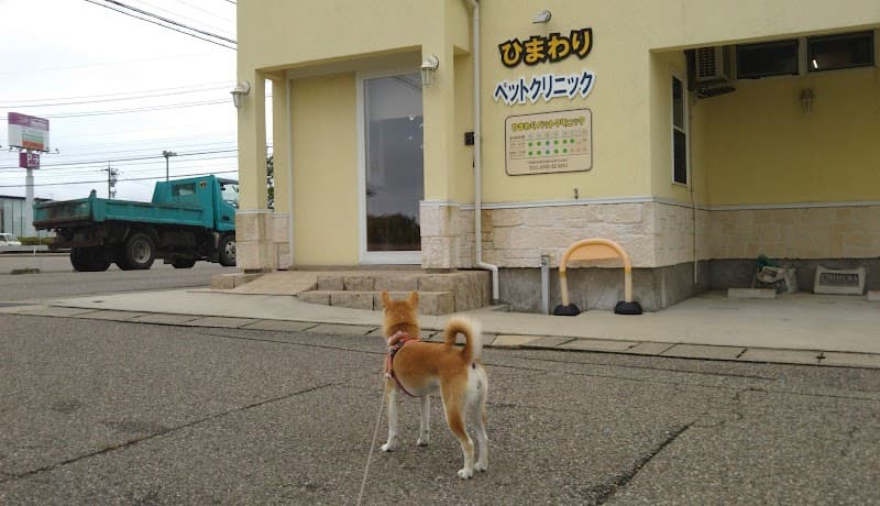 ひまわりペットクリニック