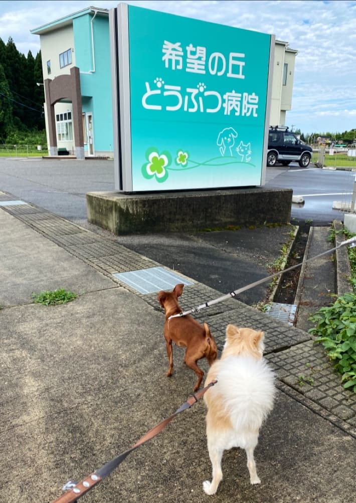 希望の丘どうぶつ病院