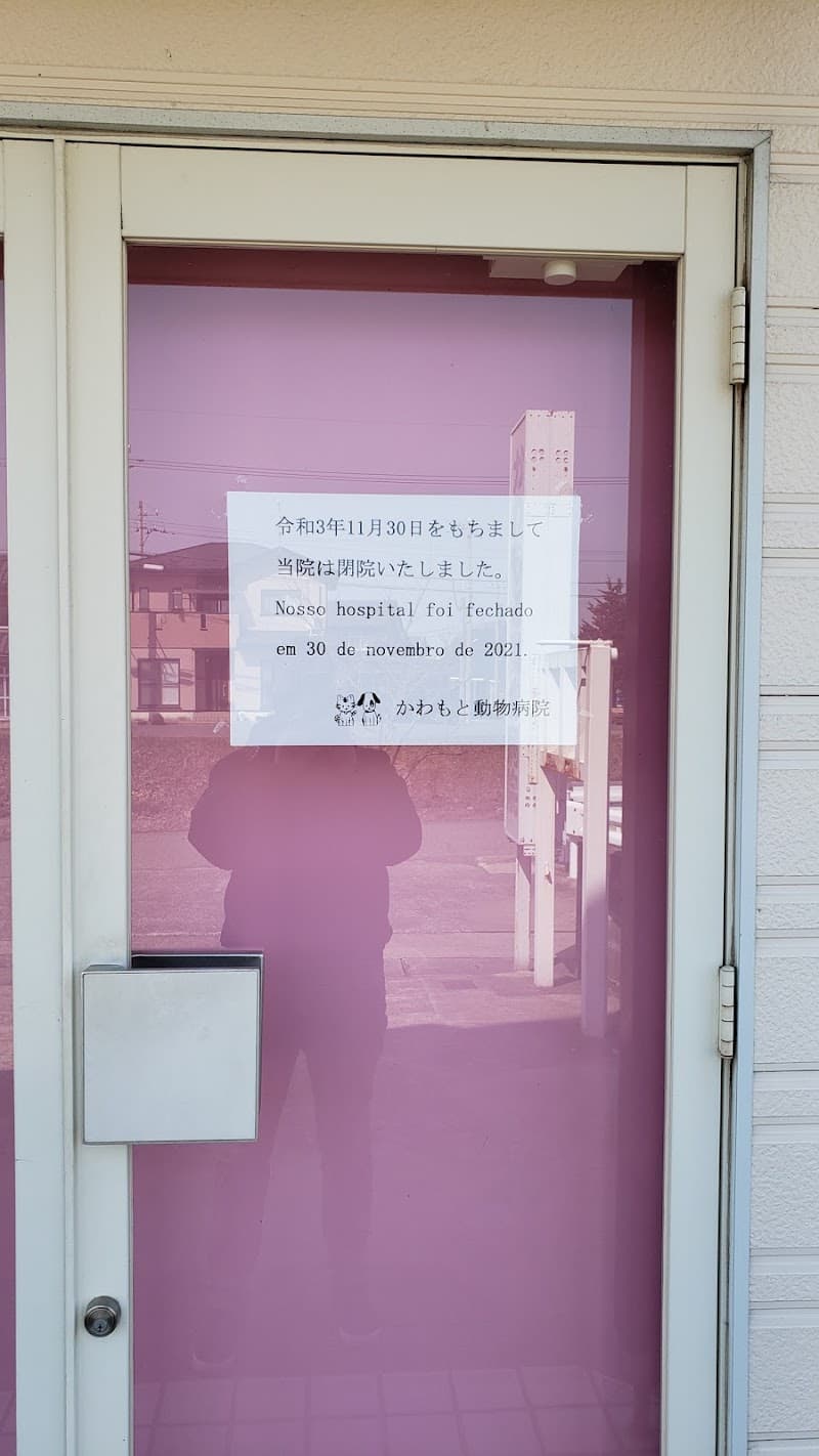 かわもと動物病院
