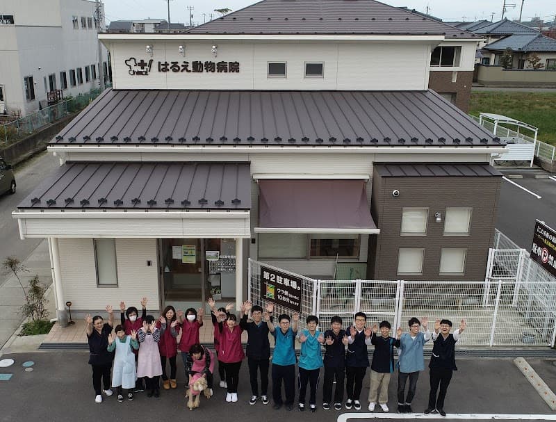 はるえ動物病院