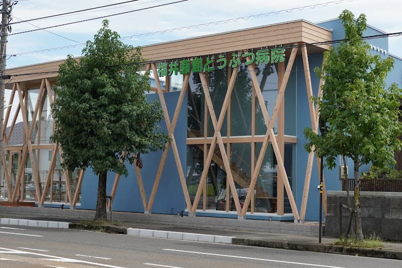 福井藤島どうぶつ病院 (旧名: よどえ動物病院)