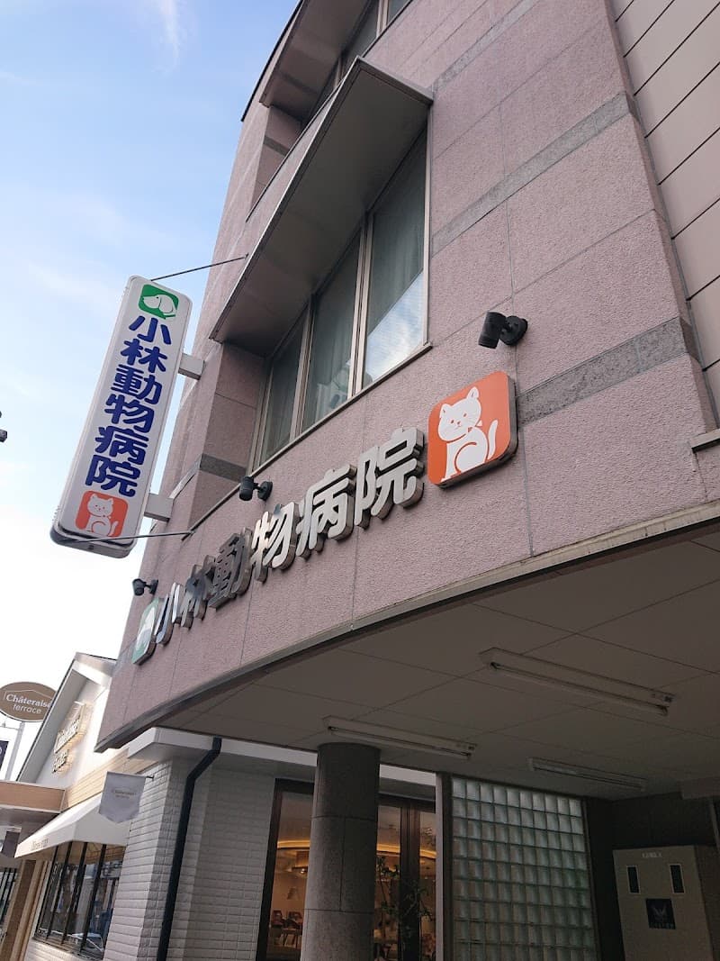 ニコニコ動物病院