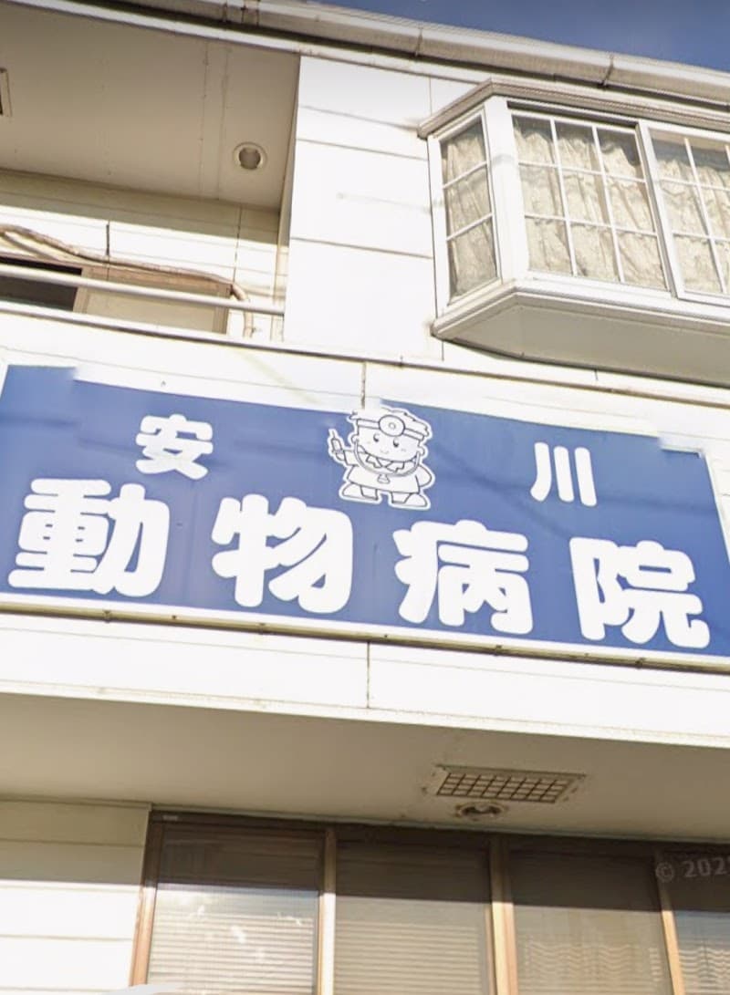 安川犬猫病院