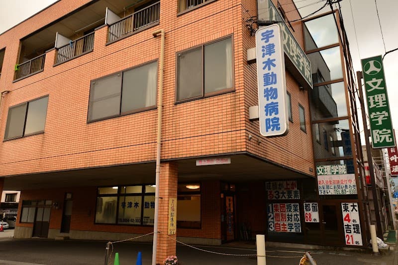 宇津木動物病院