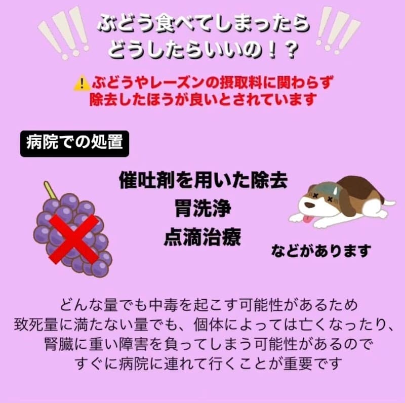 昭和動物病院