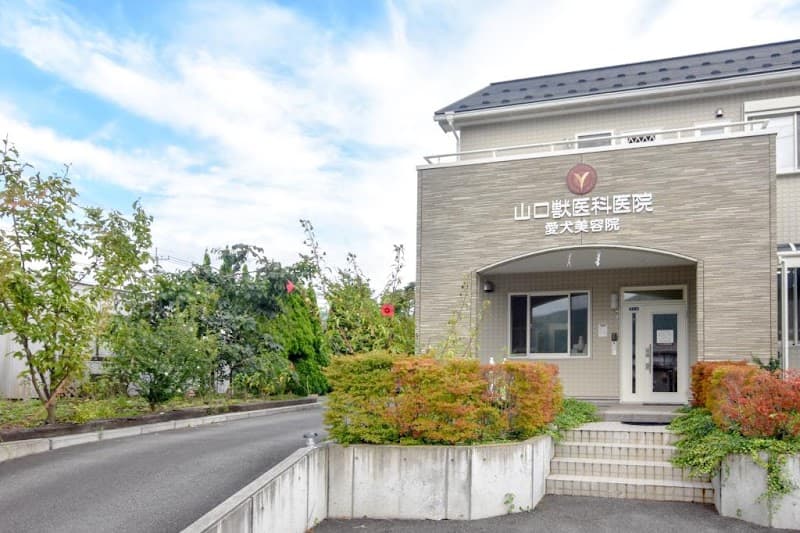 山口獣医科医院