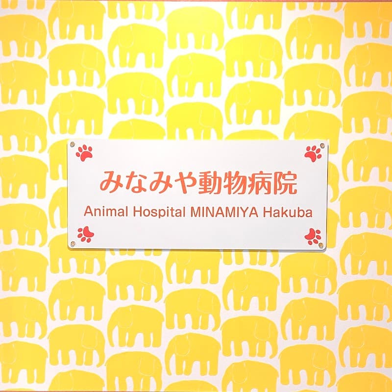 白馬みなみや動物病院