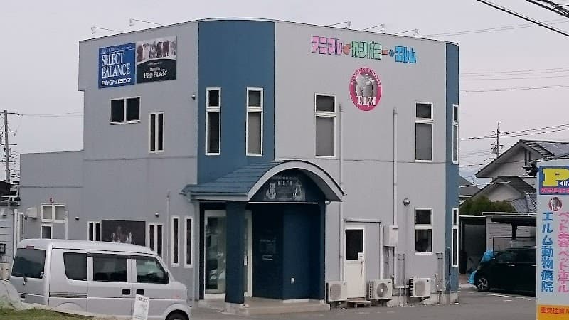 エルム動物病院
