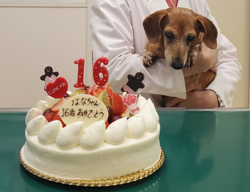 ミュー(MU)動物診療所