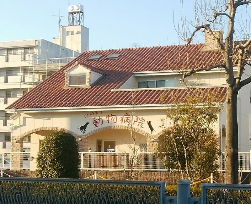いいもり動物病院