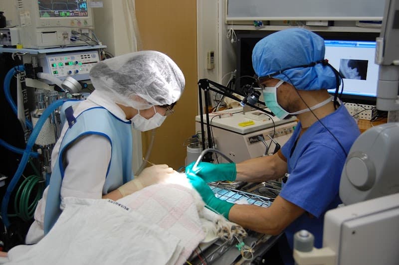 日野どうぶつ病院