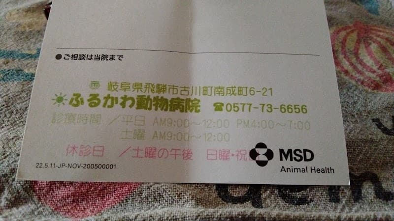 ふるかわ動物病院