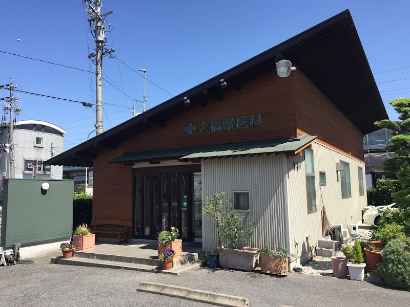 大橋獣医科