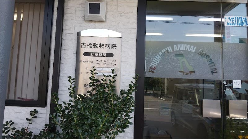 古橋動物病院