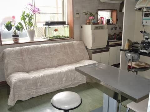 イズミ動物病院