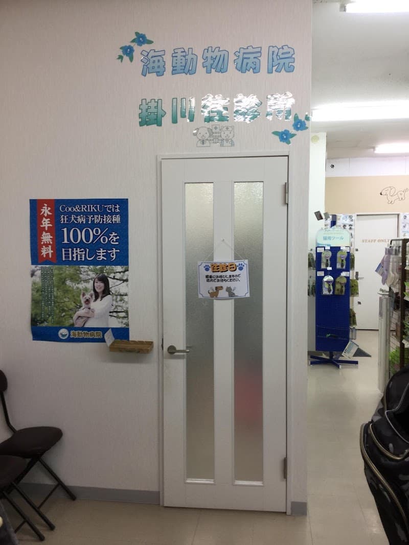 海動物病院 掛川往診所