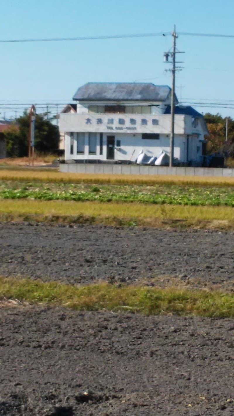大井川動物病院