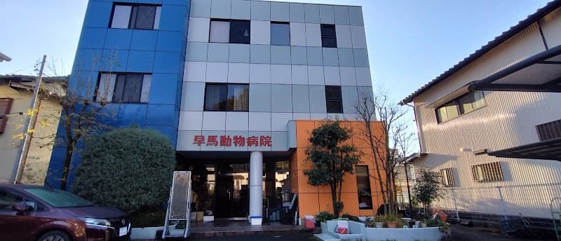 早馬動物病院