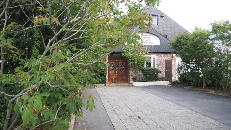 沼津中央動物病院