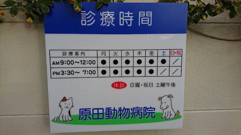 原田動物病院