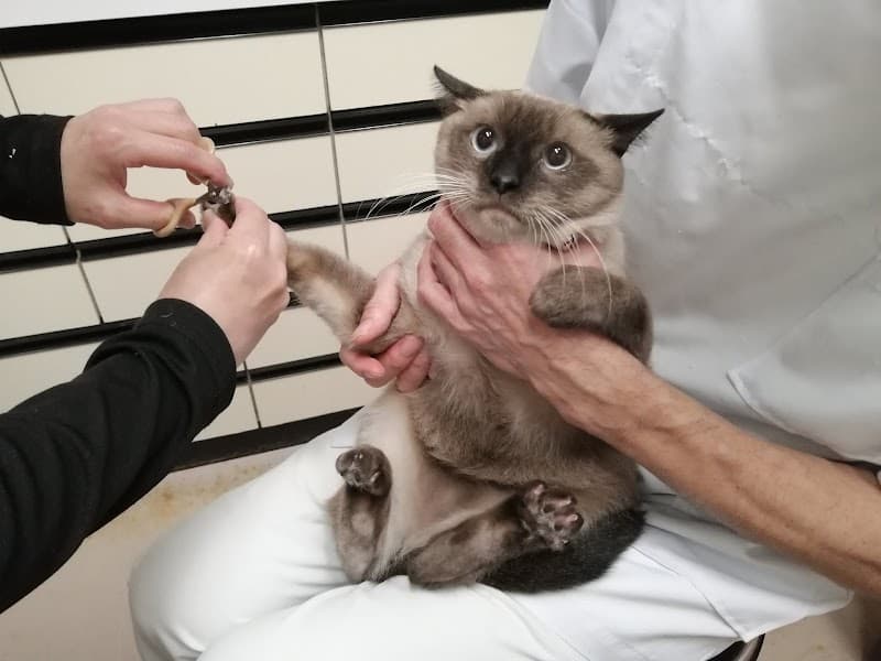 ありたま動物病院