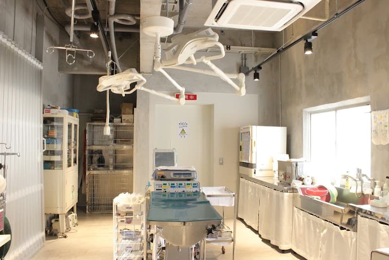 伊東動物愛護病院